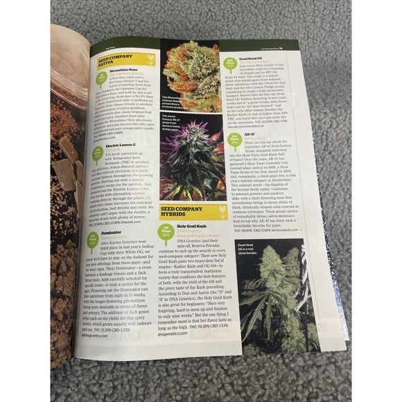 2013 Best of High Times #67 - Vintage Magazine - Marijuana - Picture 11 of 16